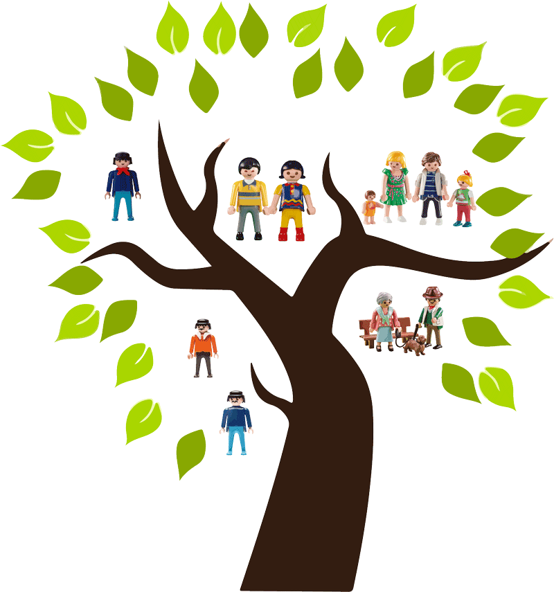 Constelaciones Familiares y Coaching Sistemico